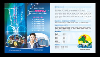 数字电视传媒广告宣传单设计 高清素材与CDR模板的完美融合